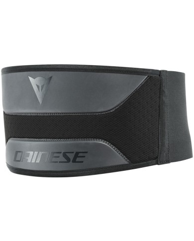 FAJA DAINESE LUMBAR BELT LOW
