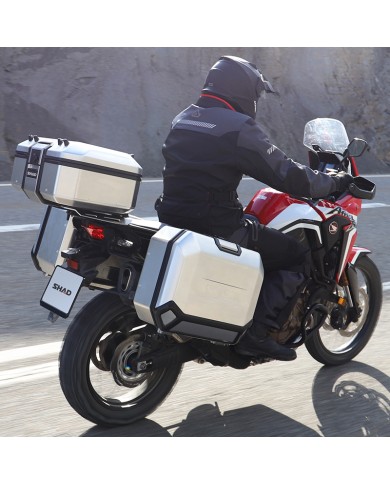 BAUL SHAD TR37 TERRA