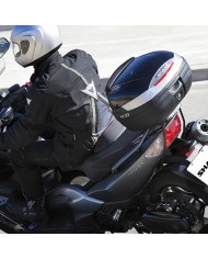 BAUL SHAD SH37 BLACK