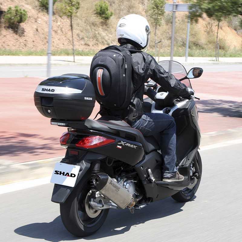 BAUL SHAD SH29 BLACK