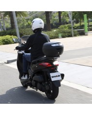 BAUL SHAD SH26 BLACK