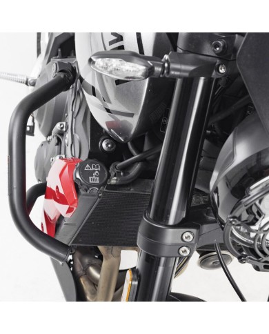 DEFENSAS DE MOTOR SW-MOTECH CRASH BAR TRIUMPH SBL.11.842.10000/B