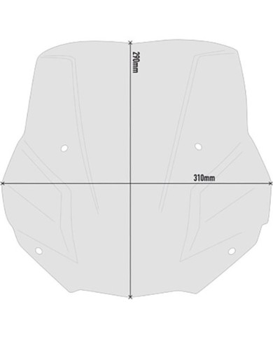 PARABRISAS GIVI 5139S BMW F900 R 2020/2025