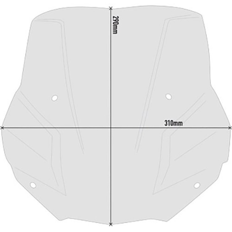 PARABRISAS GIVI 5139S BMW F900 R 2020/2025