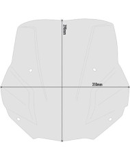 PARABRISAS GIVI 5139S BMW F900 R 2020/2025