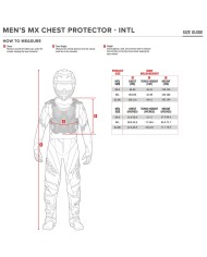 PROTECCION ALPINESTARS BIONIC TECH V3