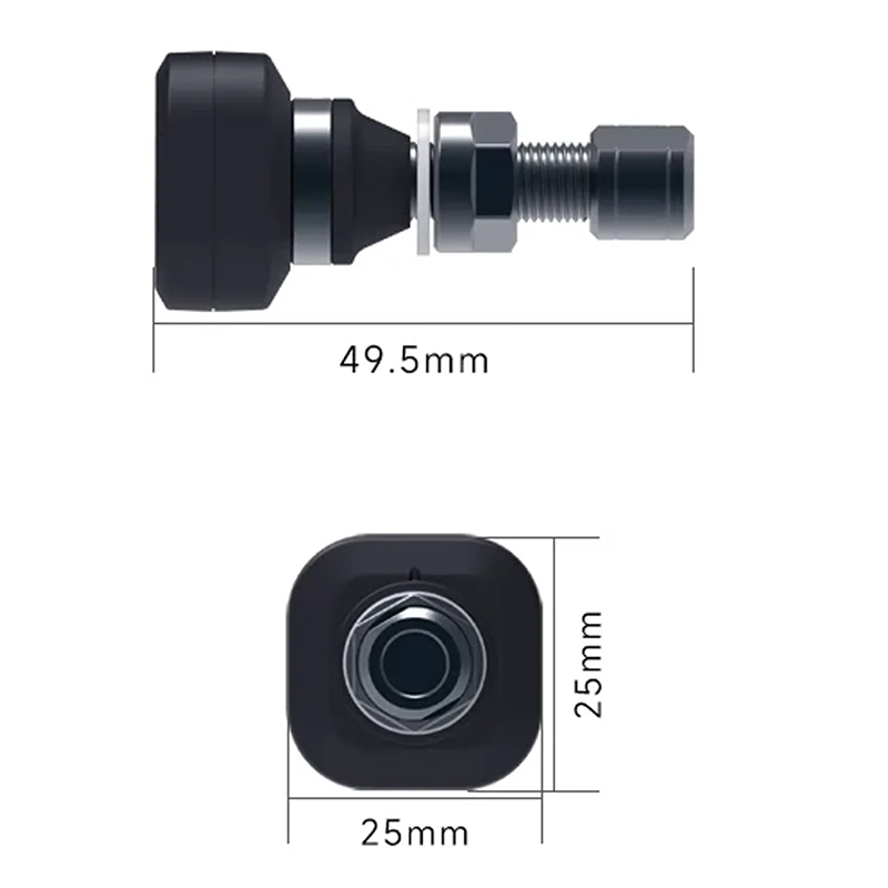 RECAMBIO SENSORES INTERNOS CHIGEE DE PRESION DE NEUMATICOS SH0058