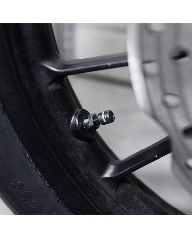 RECAMBIO SENSORES INTERNOS CHIGEE DE PRESION DE NEUMATICOS SH0058