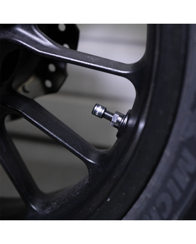 RECAMBIO SENSORES INTERNOS CHIGEE DE PRESION DE NEUMATICOS SH0058