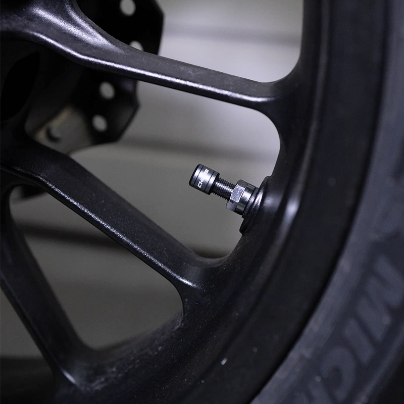 RECAMBIO SENSORES INTERNOS CHIGEE DE PRESION DE NEUMATICOS SH0058