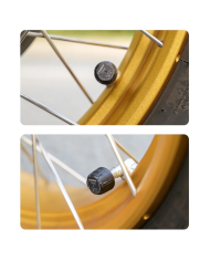 RECAMBIO SENSORES EXTERNOS CHIGEE DE PRESION DE NEUMATICOS SH0057