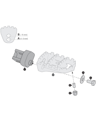 KIT REPOSAPIES SW-MOTECH ION HONDA FRS.01.011.10600/B